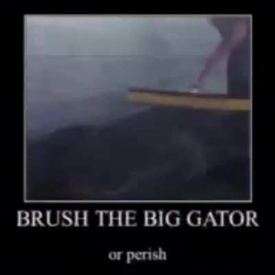 Rule 🐊🧽