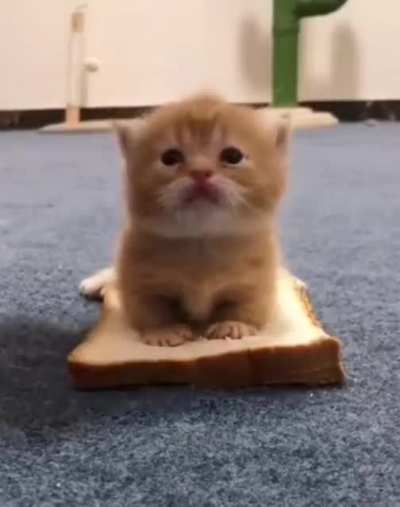 Stop buttering me!!