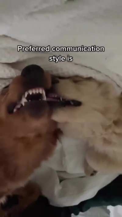 friends for life