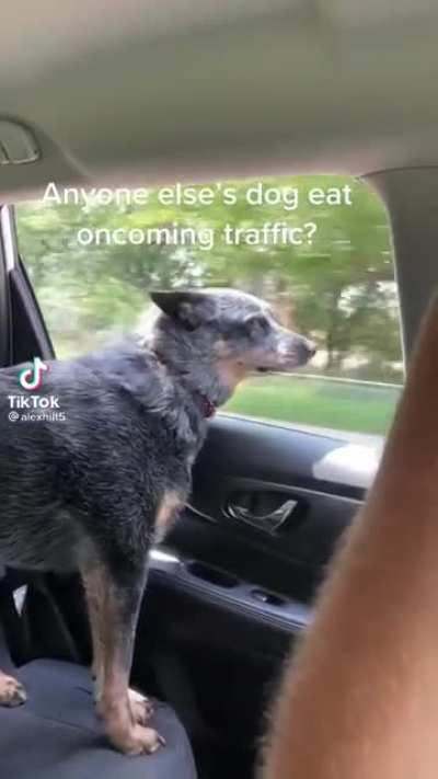 Traffic eater