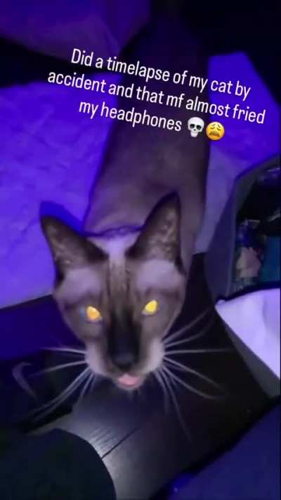 Bwoobdhahdj 