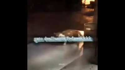 Gato Pika👌(música Bad do maico Jequiso kakakaka)