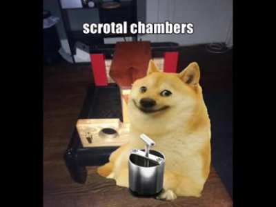 bruh