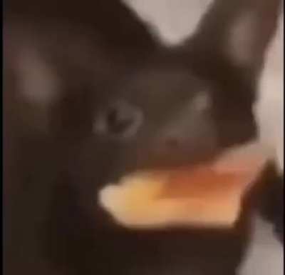 😂