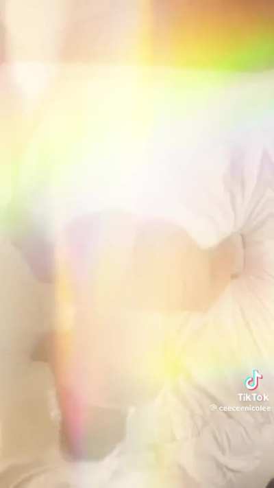 there<wbr>alcee<wbr>ceeni<wbr>cole 