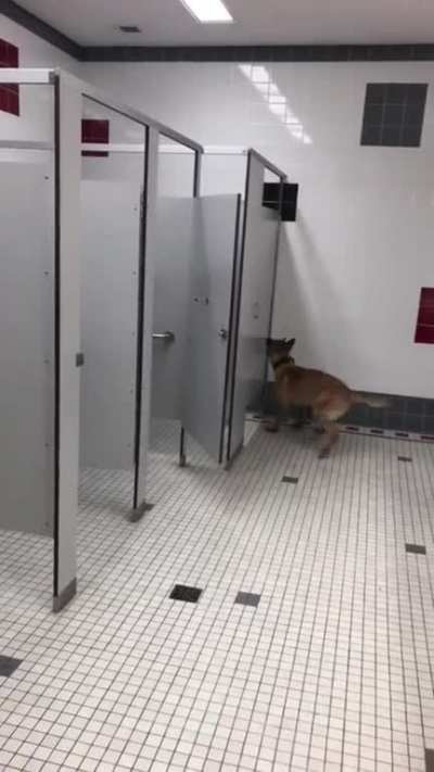 Stressful shit
