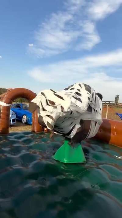 It looks fun!