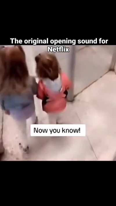 Now you know 😂
