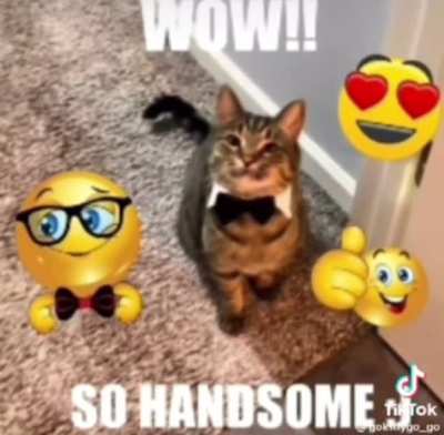 Handsome fella