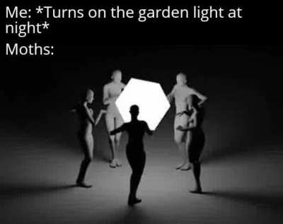 They do be grooving
