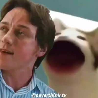 Callate