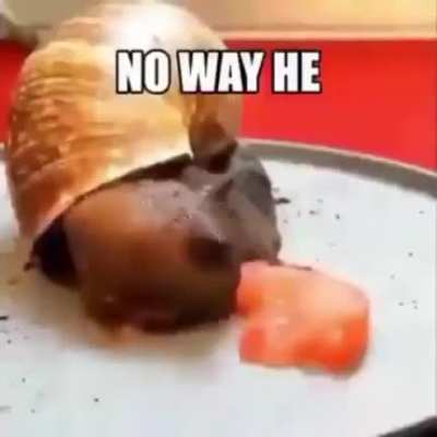 no way he
