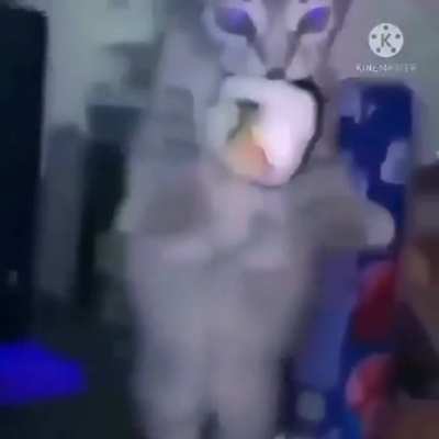 to the moon