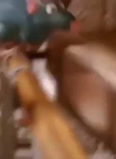Ahí va Disney a sacar otro live action que nadie pidió, al menos el CGI se ve bueno