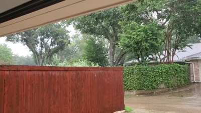 February Rain