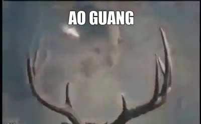Revenants be like