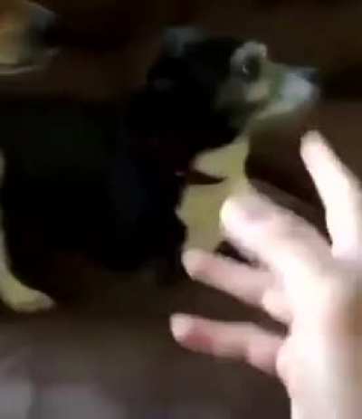 LA CARA