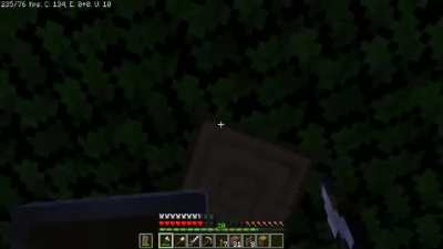 My Minecraft Experience