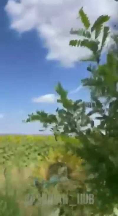 Ukrainian “Tor” SAM system firing at Russian drone, allegedly Sumy Oblast, August 2024