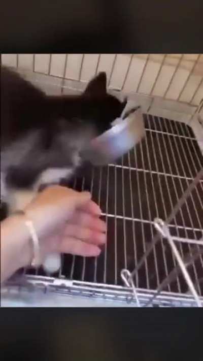 Yum
