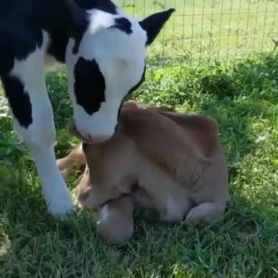 They are so cute 😍