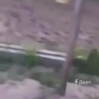 Пьяная парочка забралась на чужой участок. Эпичнейший конец видео.