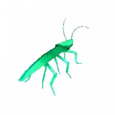 Rochity roach roach share this around reddit.