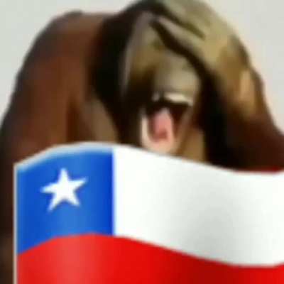 Extranjero promedio escuchando a un chileno promedio 😳
