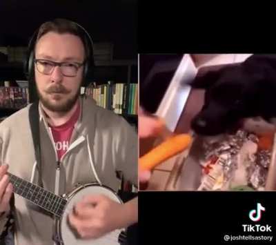 TikTok never fails