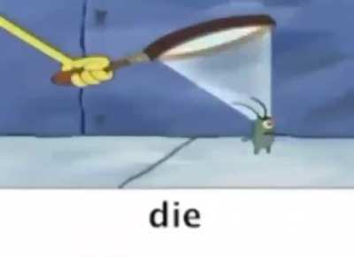 die