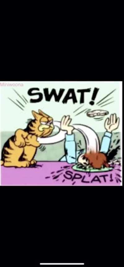 Garfield after slapping Jon