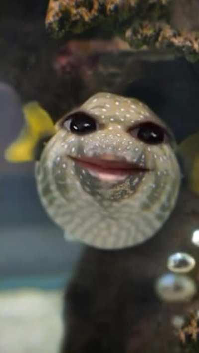 Püffērfįšh
