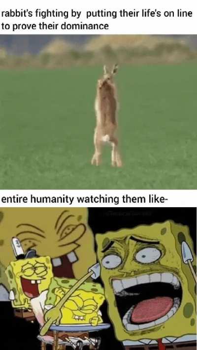 i say it's not funny