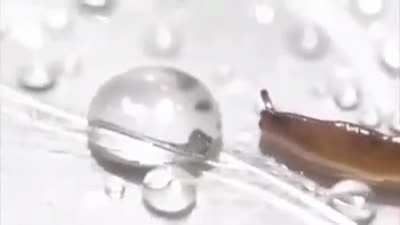 Hey look, water droplet