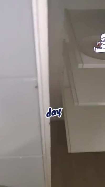 Cookie (credit to Rabbert on YT)