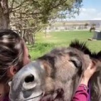 I love you, human!