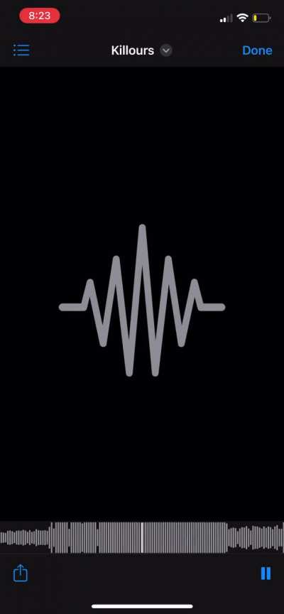 Is this really how killers sounded before it got leaked?