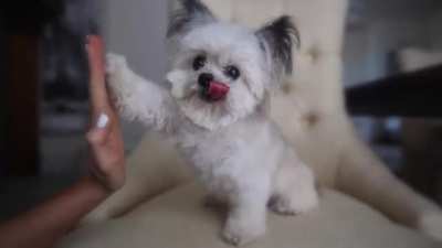 High Fives To Brighten Your Day