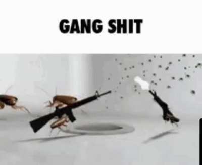 Rule