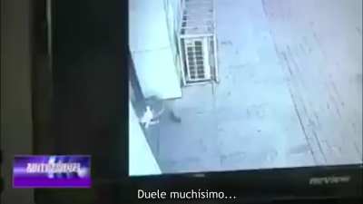Gato cae del cielo, noquea a hombre y pelea con perro con zapatos: Versión Jojo's