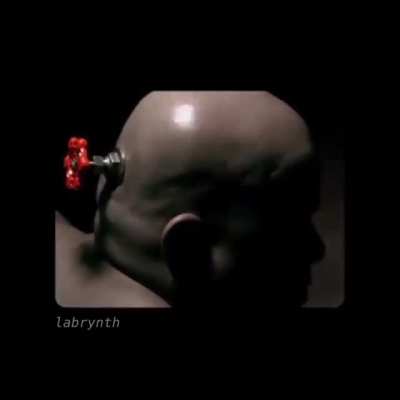 Valve's new intro.