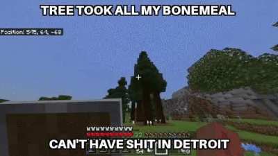 79 Bonemeal gone to waste