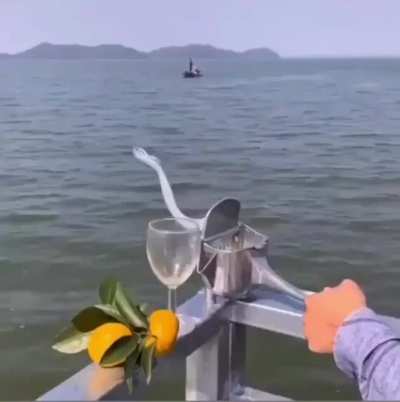 This juice maker
