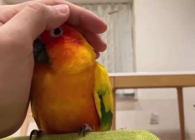 That magical moment he realizes foe is actually friend
