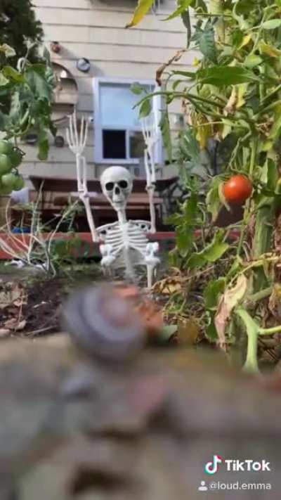 spooky