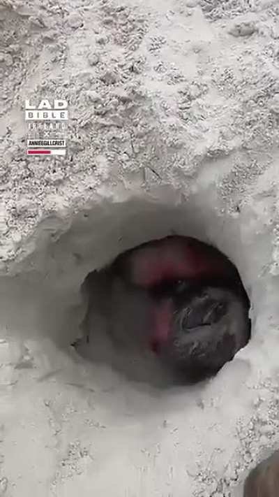 Headfirst Into Sand