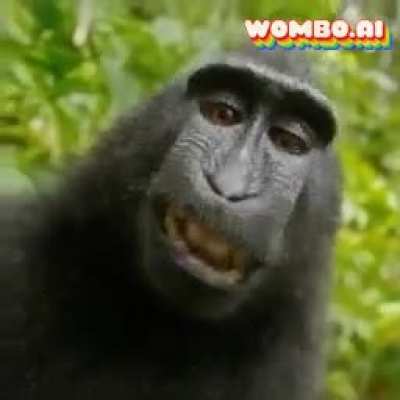 Monkey Mode
