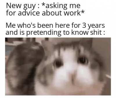 true true I agree