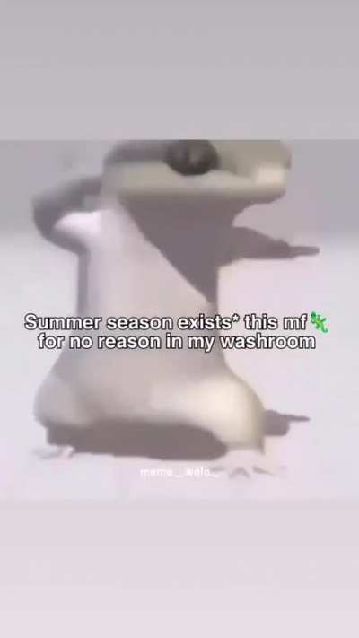 chipkali 🦎