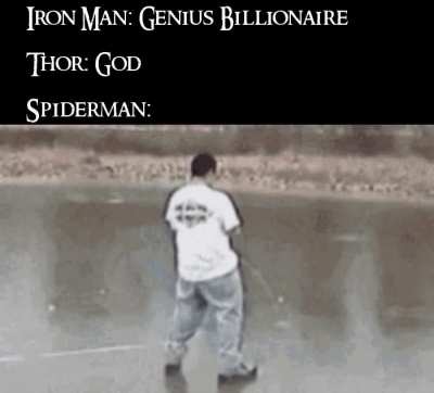 Web Developer